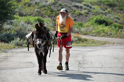 leadville boom days.png