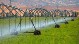 irrigation