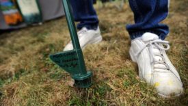 natural weed management techniques