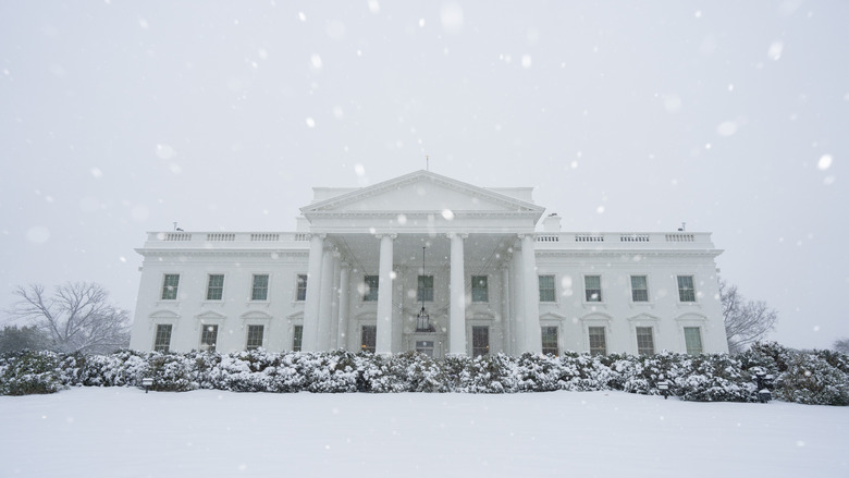 The white house