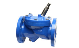 Flomatic Check Valve